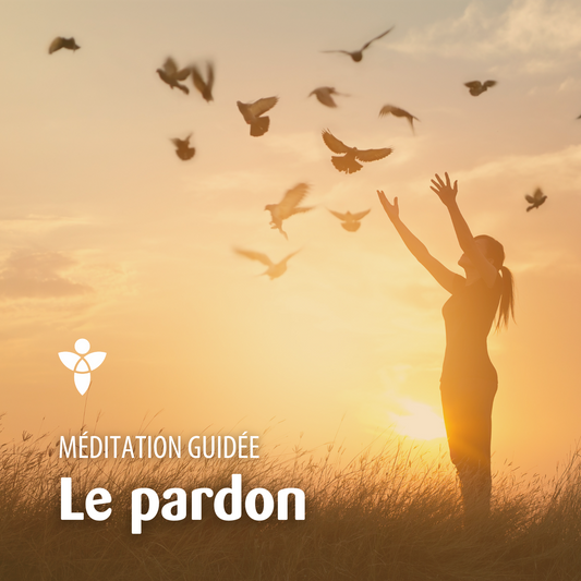 Méditation LE PARDON