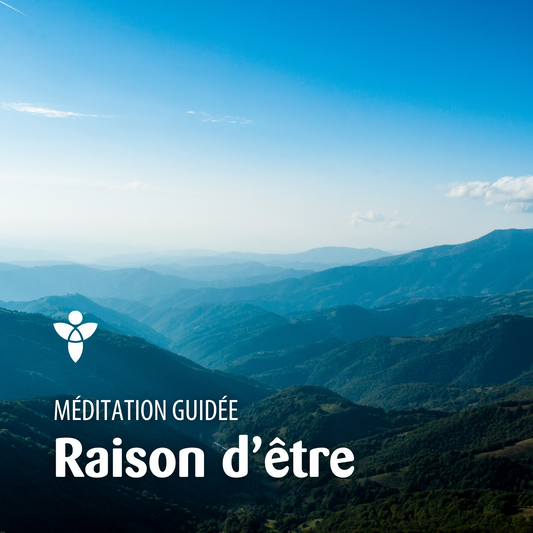 Méditation RAISON D'ÊTRE