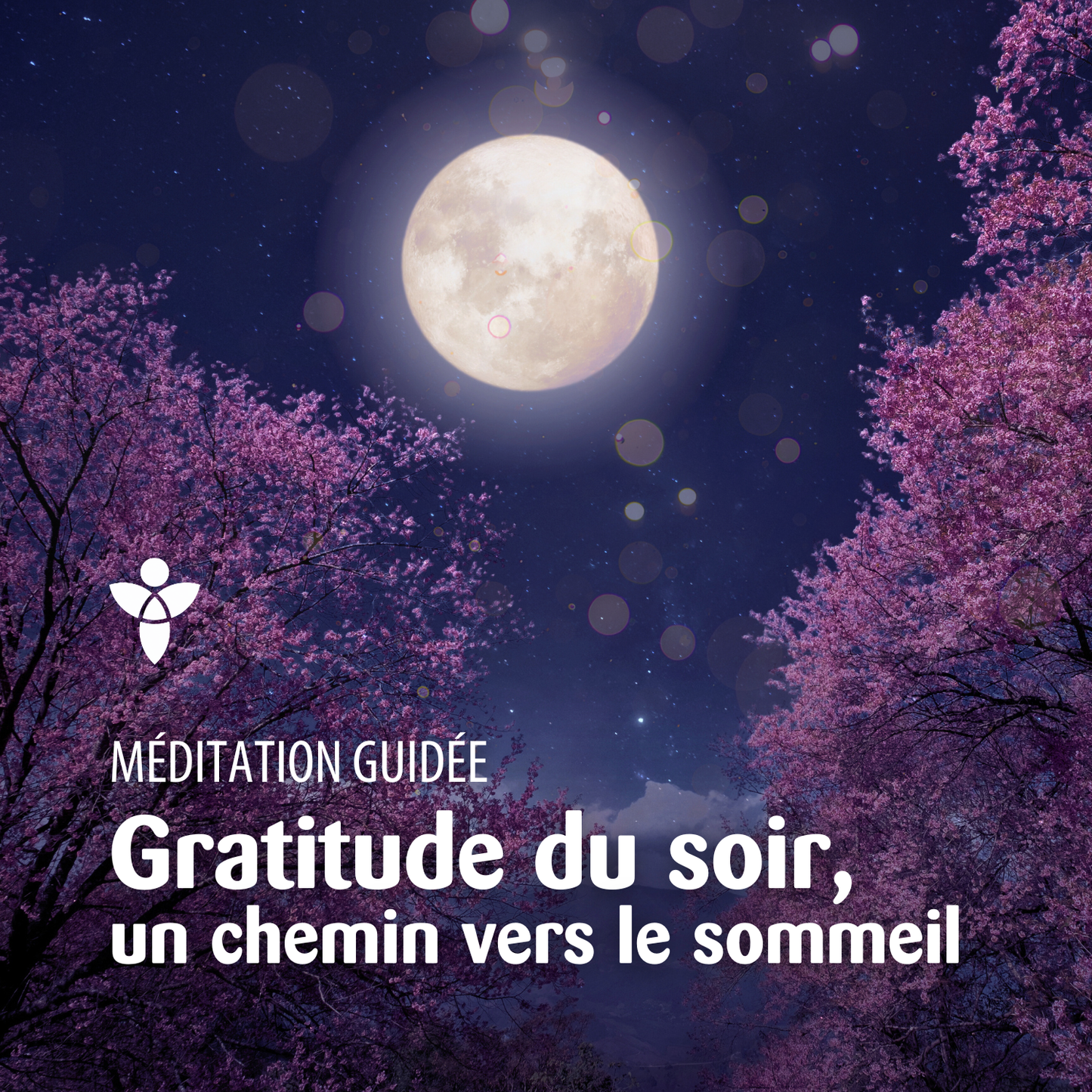 Méditation - Gratitude du soir, un chemin vers le sommeil